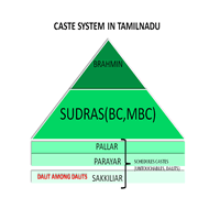 Caste Pyramid